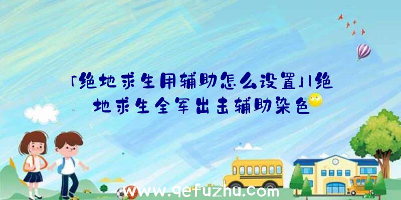 「绝地求生用辅助怎么设置」|绝地求生全军出击辅助染色